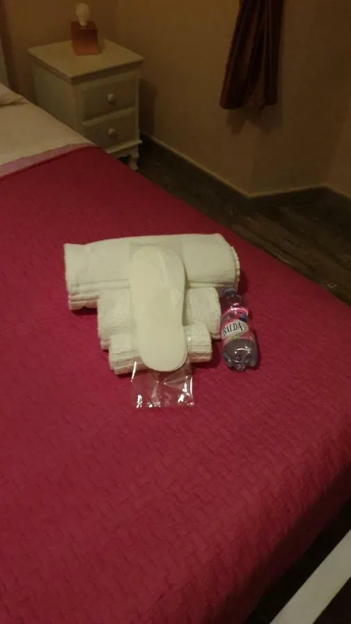 Secret Rhome Colosseum Art Rome Guest house